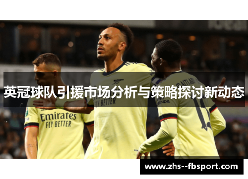 英冠球队引援市场分析与策略探讨新动态