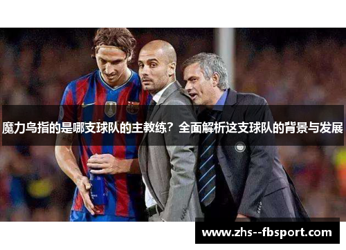 魔力鸟指的是哪支球队的主教练？全面解析这支球队的背景与发展