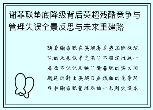 谢菲联垫底降级背后英超残酷竞争与管理失误全景反思与未来重建路 谢菲联垫底降级背后英超残酷竞争与管理失误全景反思与未来重建路